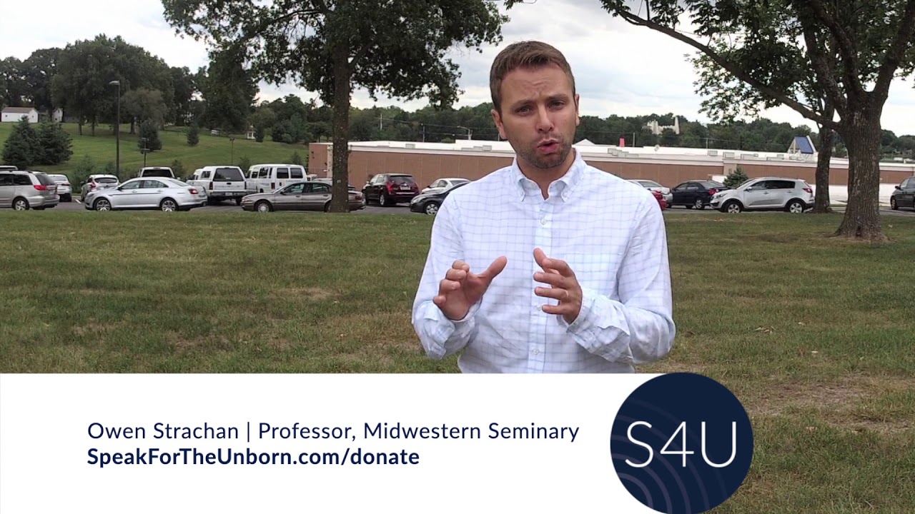 S4U Support | Owen Strachan, Professor, Midwestern Seminary