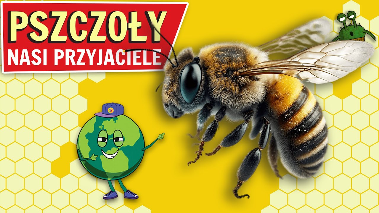 Dlaczego PSZCZOŁY 🐝 są NAJWAŻNIEJSZYMI owadami na Ziemi?
