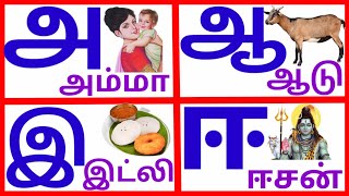 உயிர் எழுத்துக்கள்|அ ஆ இ ஈ | learn Tamil alphabets litters|@PRINIT1419