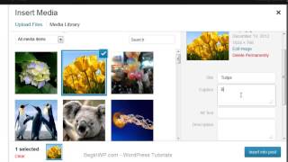 How to Upload/Insert an Image From Media Library in WordPress 3.5