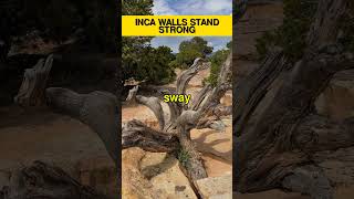 Inca Walls Survived 500 Years of Earthquakes! 🏗️ #Shorts