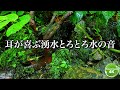 【熟睡 川の音】豊かな眠りを満喫できる山奥で湧き出す癒しの川音