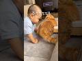 赤ちゃんに毛を吹かれて怒った猫がまさかの行動に【とらまる】