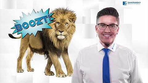 Get impressed – product pitch | Z.LION