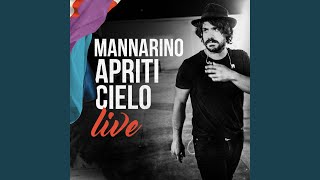 Miniatura de vídeo de "Mannarino - Vivo (Live 2017)"