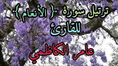 ترتيل سورة الانعام للقارئ عامر الكاظمي