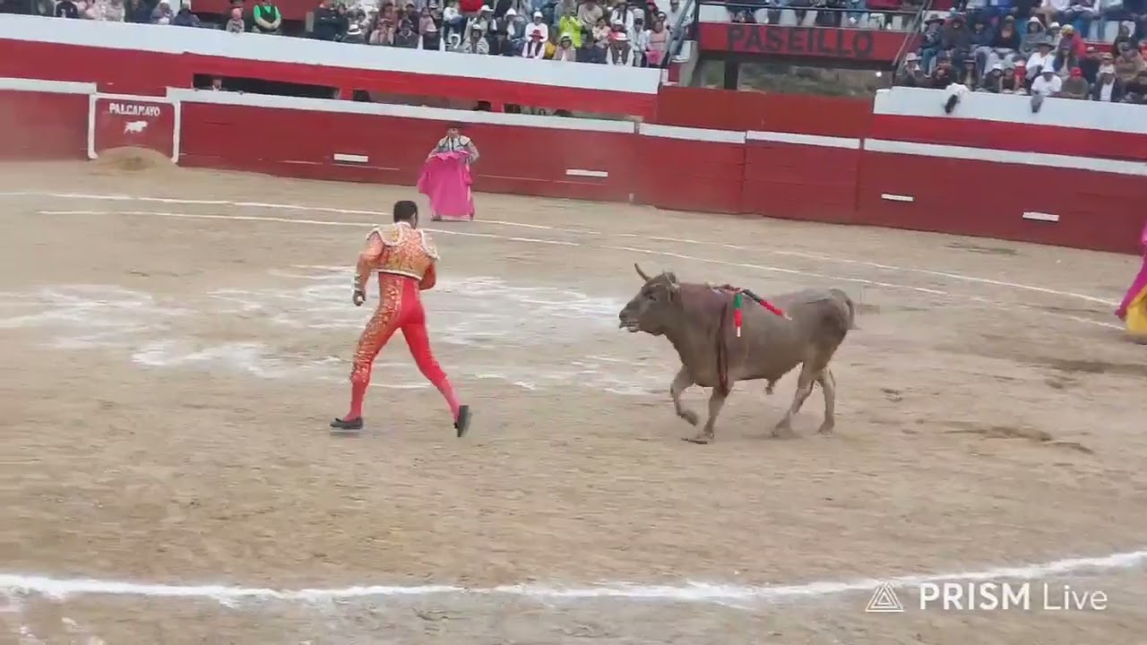PALCAMAYO 2025 !! 2° TARDE TAURINA