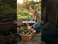 Edible Urban Mosaic: Modular Polyculture Beds for Small Spaces