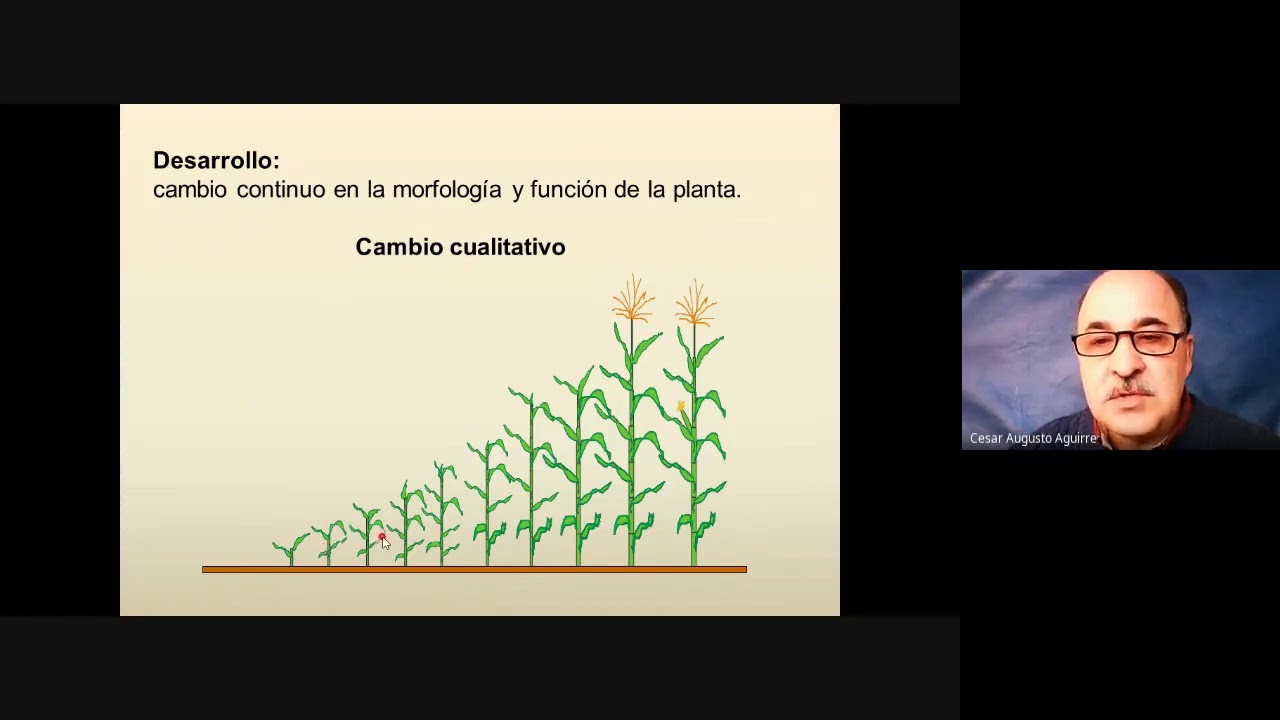 Tema1 FENOLOGIA Parte A YouTube