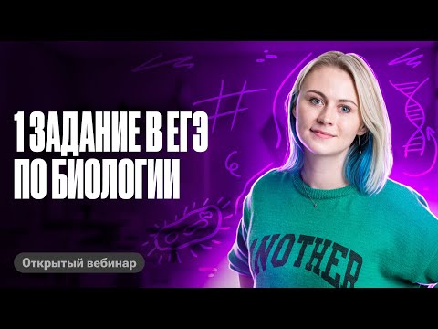Разбираем: 1 задание
