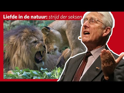 Liefde in de natuur: de strijd der seksen