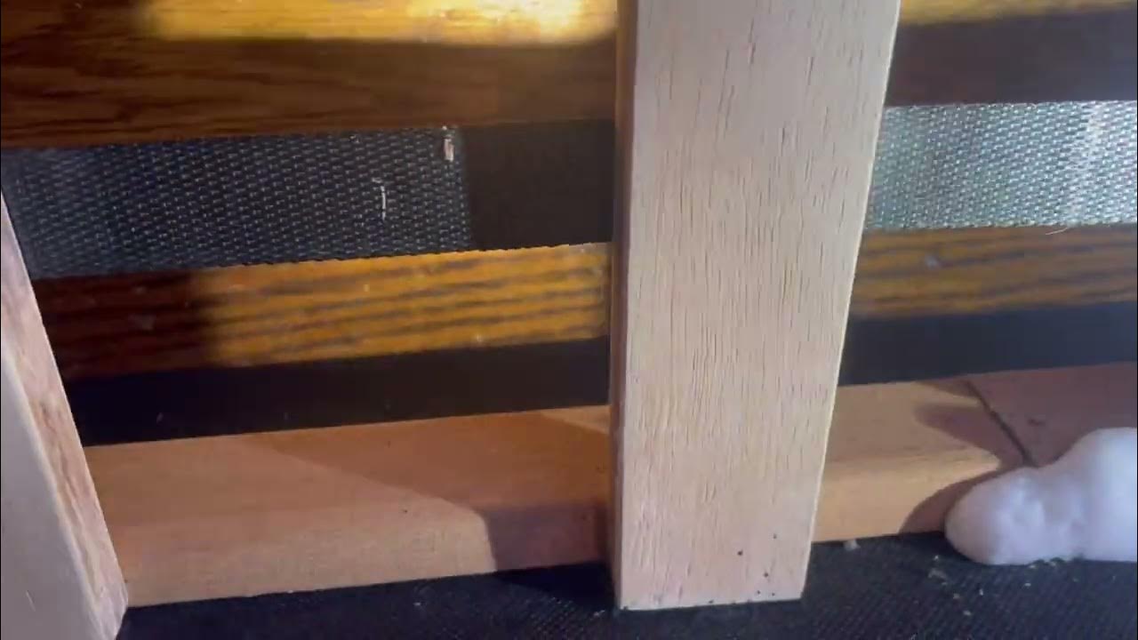Bed Bugs Living in the Bed Frame YouTube