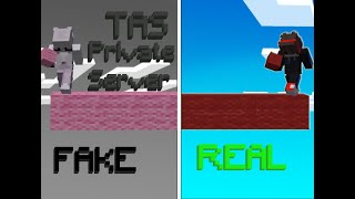 Recreating The Most FAKE Minecraft Clips