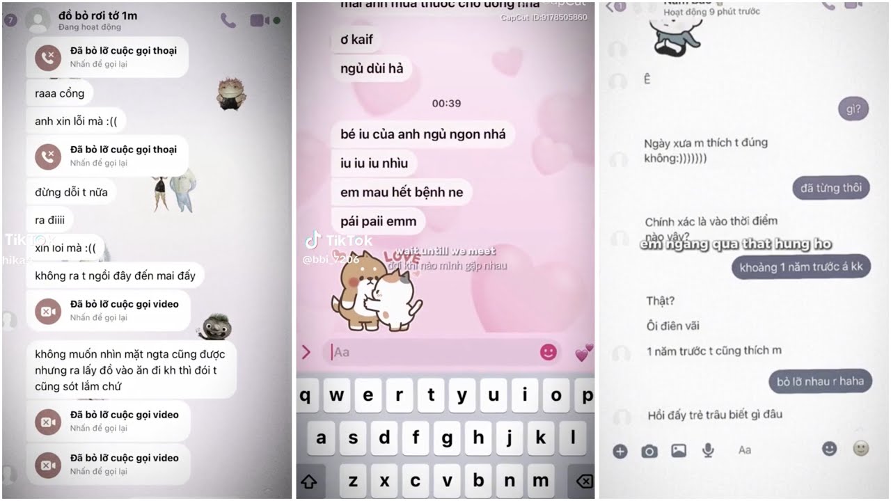 [TikTok Tin Nhắn] Cánh hoa tàn tình tan và em quay bước sang ngang #45