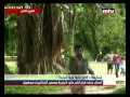 Prime Time News 22 Feb 2014 لبنانيون في بابوا نيو غينيا Prime Time News 22 Feb 2014 لبنانيون في بابوا نيو غينيا