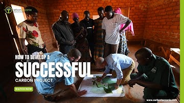 Developing Successful Carbon Projects: Essential Steps in Contracts, Financing, and Monitoring