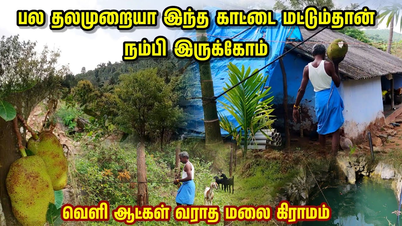 பல தலை முறையா இந்த காட்டை மட்டும்தான் நம்பி இருக்கோம் | வெளி ஆட்கள் வராத மலை கிராமம் |