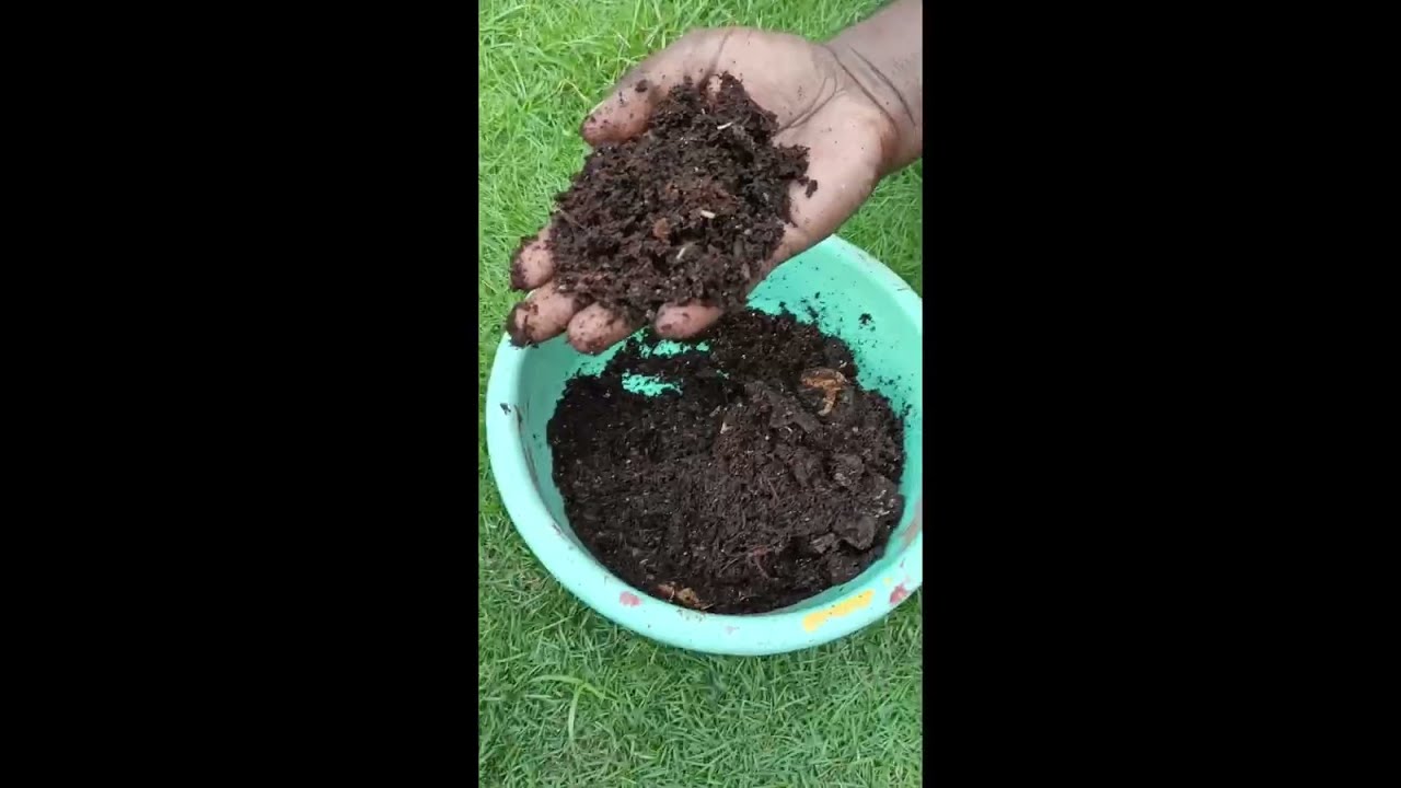 घर पर किचन वेस्ट से खाद कैसे बनाए!  