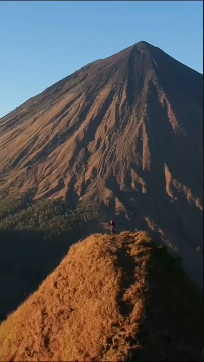 VIDIO KEREN BUAT STOY WA #FLOBAMORA MANISE