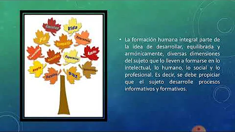 ¿Cómo influye la formación humana en la vida de las personas?