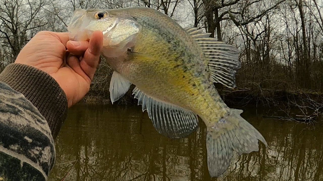 Crappie fishing a New lake. 