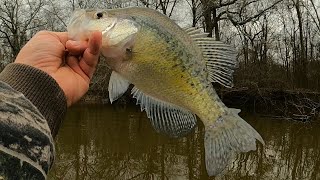 Crappie fishing a New lake. by Fish Yanker 2,190 views 2 months ago 10 minutes, 11 seconds