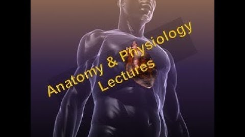 A&P Lecture 1 - Orientation to the Human Body