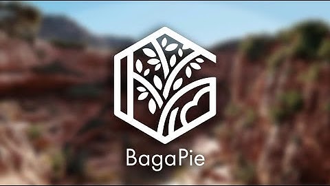 BagaPie 11 - Introduction