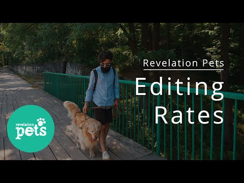 editing-rates