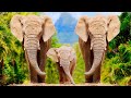 1 hour mindfulness relaxing music feat elephant hippos  rhinos  love nature