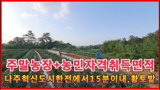 농민자격 농경체등록면적 주말농장 직거래물건 주인연락처기재, 나주혁신도시 인근토지급매물 부동산직거래정보채널 하승용테레비, 세지면토지, 나주시토지매매, 전망좋은토지,
