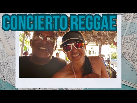 Video: Los mejores bares de Jamaica