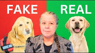 🐕‍🦺Discover the 2 ULTIMATE Ways to Spot a Fake Service Dog!🐕‍🦺
