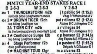 Mmtci Racing Tips December 31, 2025 Silip Tv Karera Pinoy