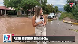 Fuerte Tormenta Provoca Inundaciones Y Caída De Árboles En Mendoza