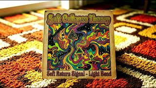Soft Collapse Theory  - Soft Return Signal 'Light Bends' (original)