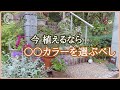 初夏に必ず植えたい毎年楽しめる素敵な花/夏から晩秋まで楽しめる花壇作り/番外編