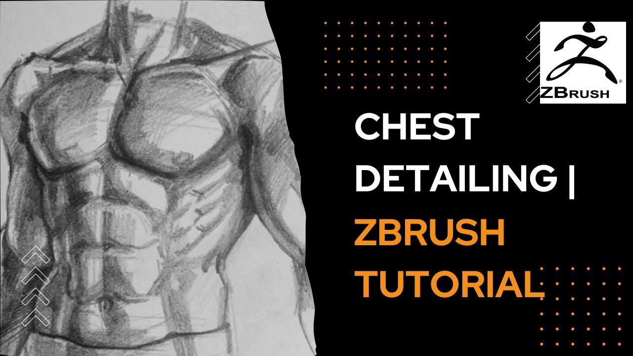 Chest Detailing ZBrush Sculpting Tutorial in Hindi for Beginner YouTube