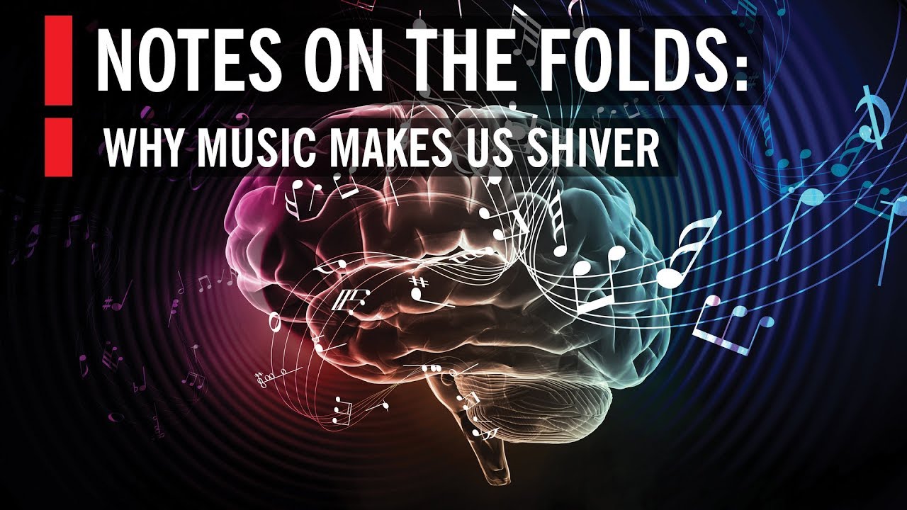 How Music Affects Your Brain: Notes on the Folds - YouTube