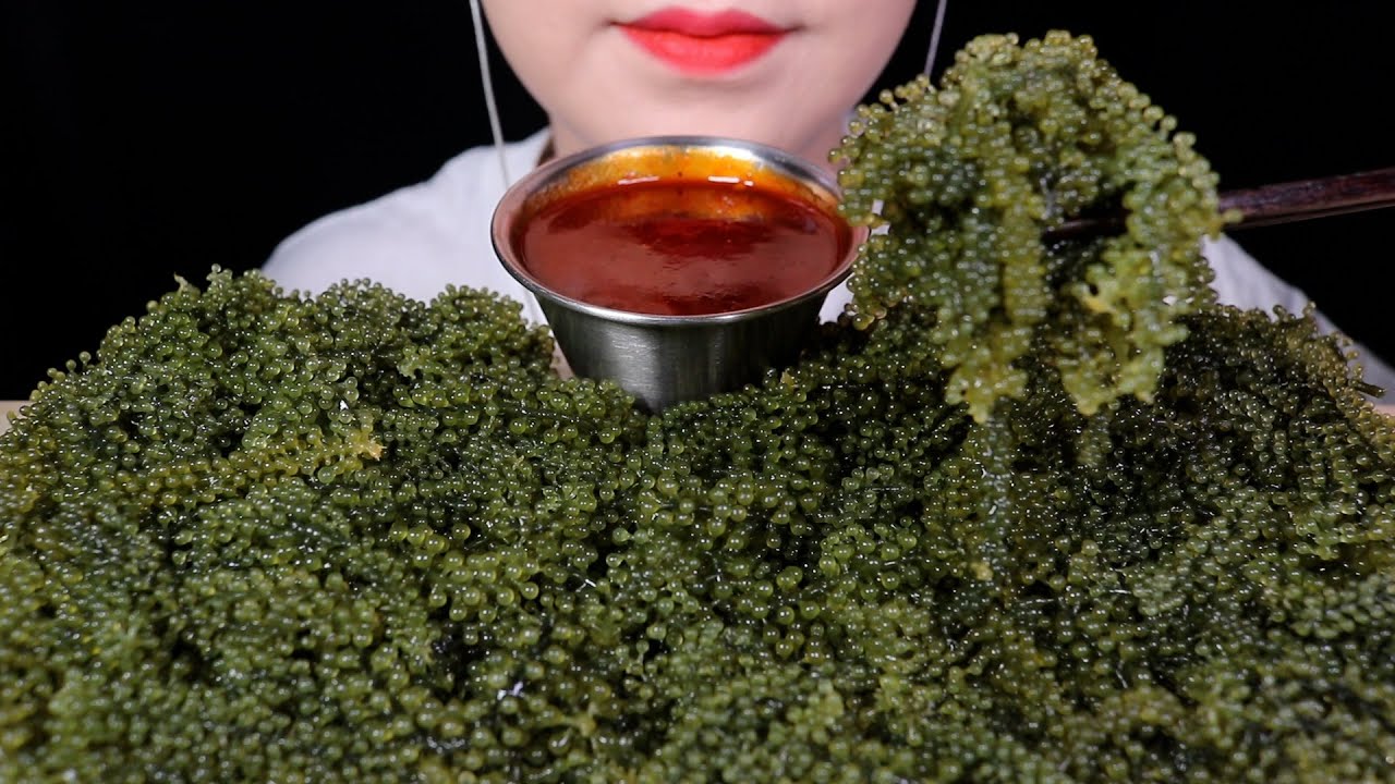 오랜만에 바다포도 먹방 Sea Grapes MUKBANG