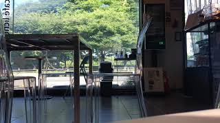 카페 백색소음