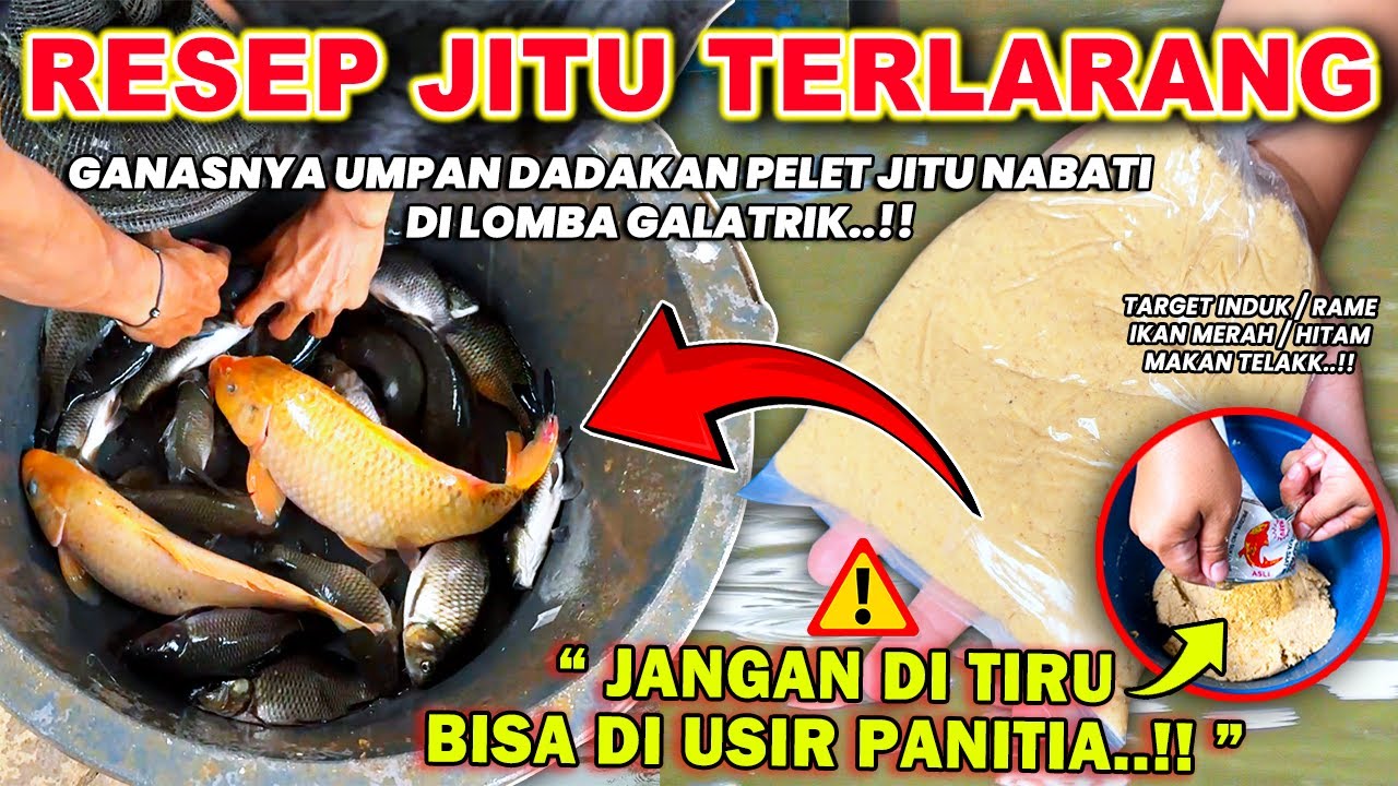 UMPAN JITU DADAKAN TERLARANG !! RESEP UMPAN LOMBA PELET JITU NABATI TARGET INDUKAN & RAME ❗❗