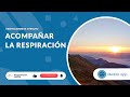 Meditación de 1 minuto sobre acompañar la respiración