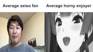 Average Seiso Fan vs Average Horny Enjoyer