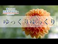 ゆっくり ゆっくりYukkuri Yukkuri/歌いだし♪ゆっくりゆっくりまえをみて/見やすい歌詞付き/【こどものうたkid's song】