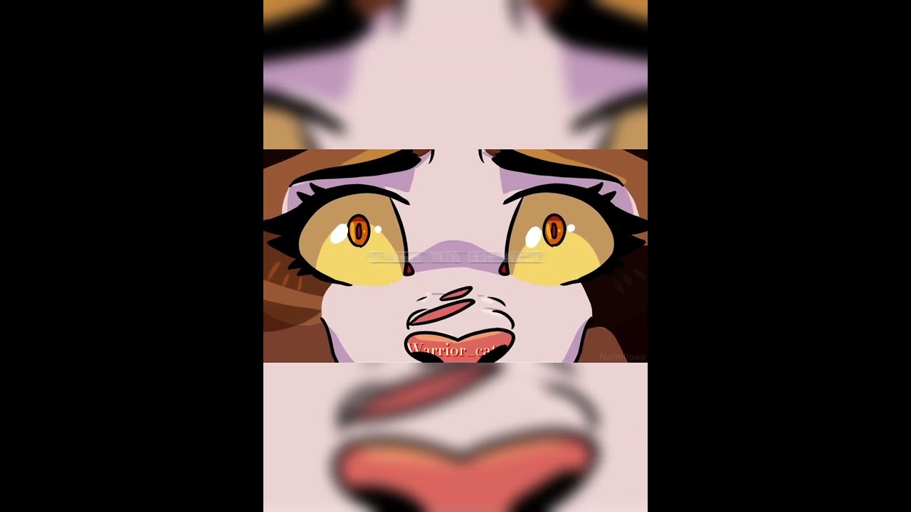 I Love This Edit Warriorcats Edits