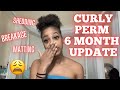 GINACURL Curly Perm 6 MONTH UPDATE // Shedding, Breakage, Matting...