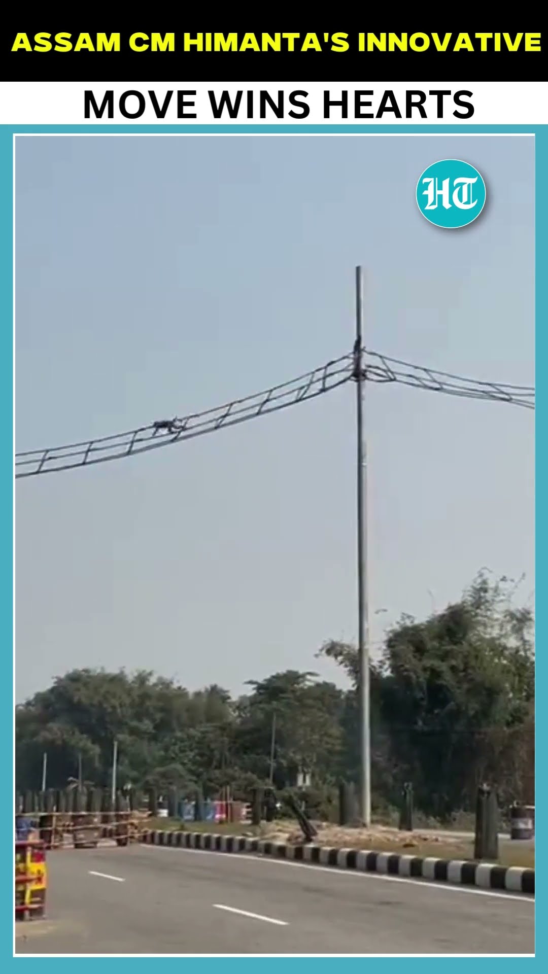 Golden Langurs Are Now Safe In Assam! CM Himanta's Move Wins Hearts | #Shorts | #Watch