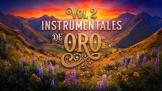La Mejor Msica Instrumental De Oro Vol 2  Para Noches De Recuerdo