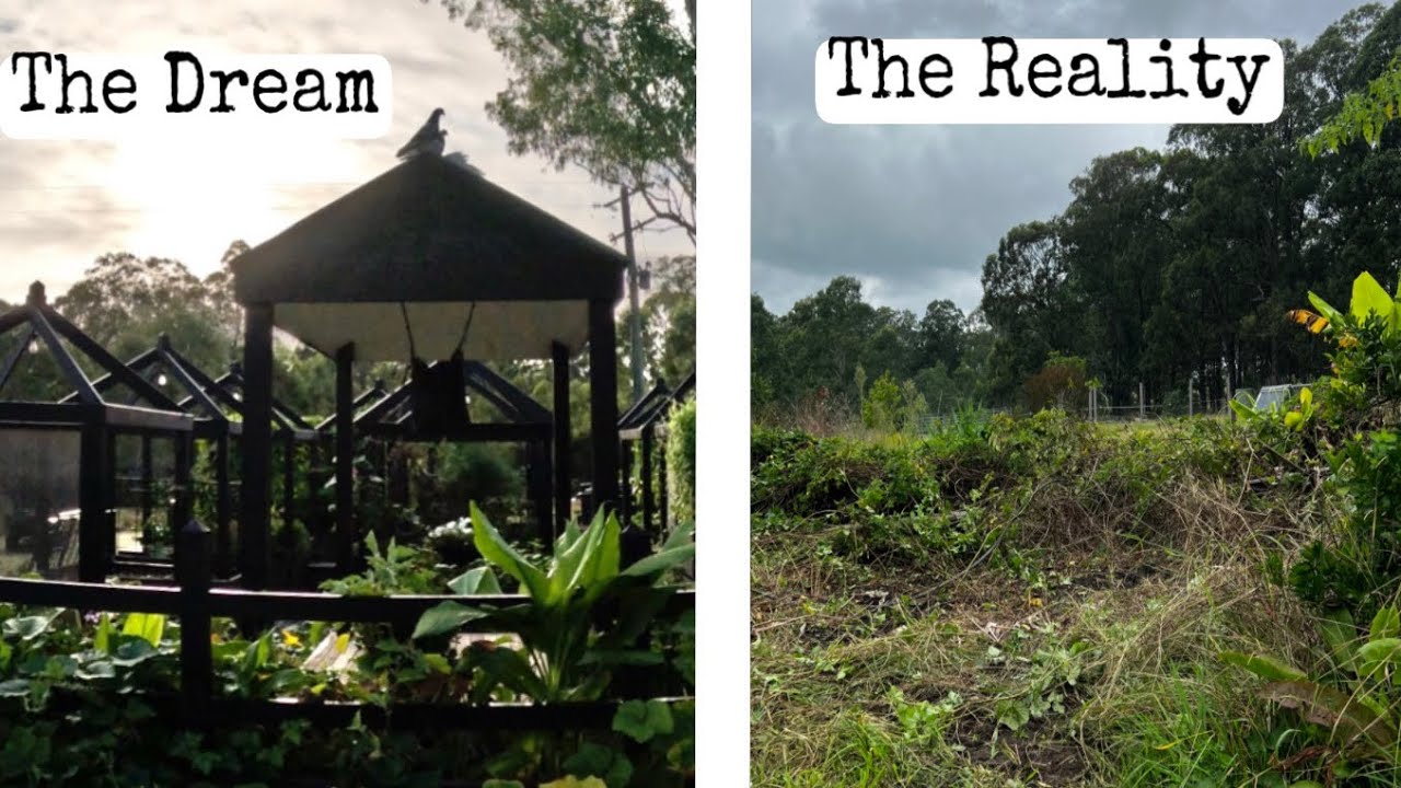 Photo inspiration: Fresh Look at 14 The Self Sufficiency Journey Garden Renovation New Pots From